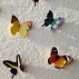 Free shipping! 3-D Paper Butterfly Wall Decor, interior decoration, scrapbook