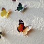 Free shipping! 3-D Paper Butterfly Wall Decor, interior decoration, scrapbook