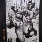 Wolverine 53B (Jun 2007, Marvel)