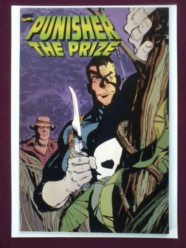 PUNISHER THE PRIZE