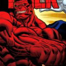 HULK #4C VARIANT  2008