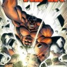 HULK #8C  2008