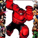 HULK #13B 2008