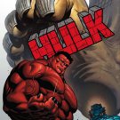 HULK #28 2008