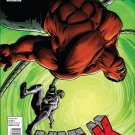 HULK #45 2008