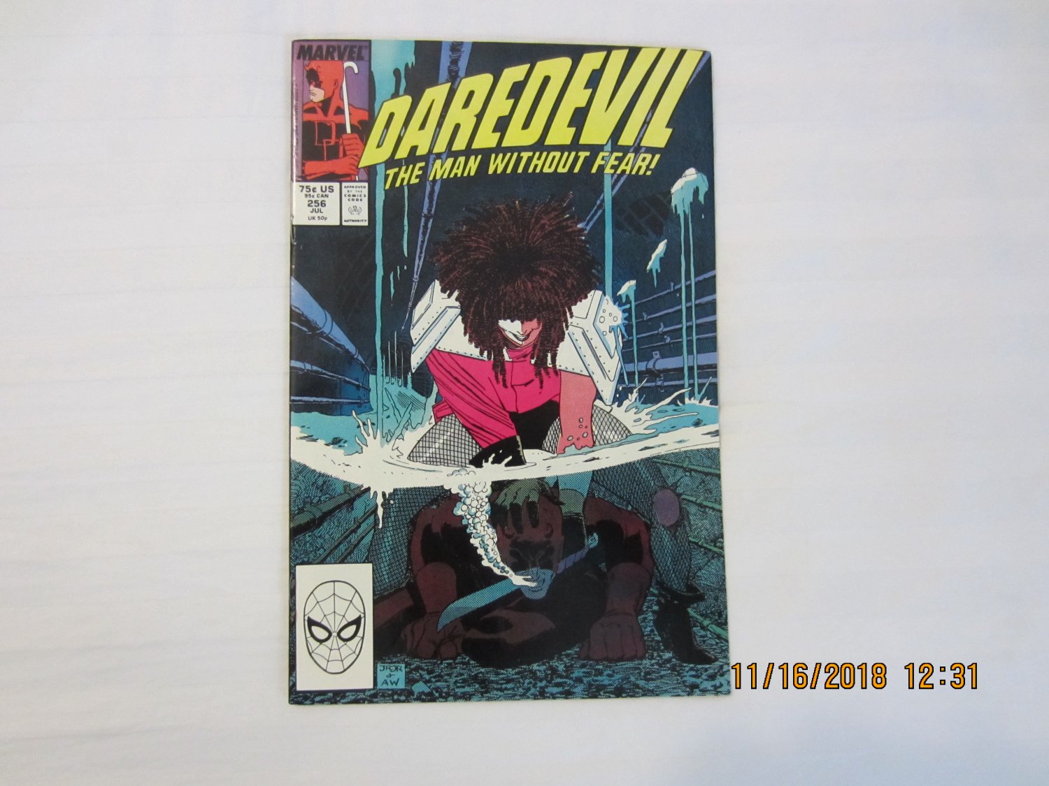 DAREDEVIL #256 "Blind Spots"