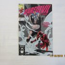 DAREDEVIL #294 "The Infernal Mysteries"