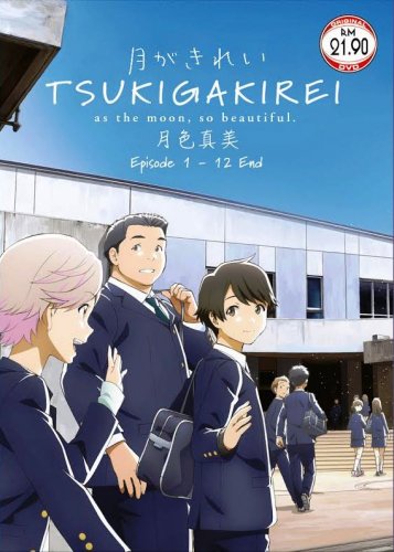 DVD ANIME Tsuki ga Kirei Vol.1-12End As The Moon So Beautiful English Sub