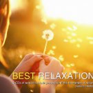 Best Relaxation (3CD) acoustic relaxing moods and the harmonies of nature