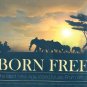Born Free - The best New Age world music from Africa (2CD)