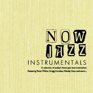 Now Jazz Instrumentals - featuring Peter White, Gregg Karukas, Nikolaj Hess (2CD)