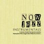 Now Jazz Instrumentals - featuring Peter White, Gregg Karukas, Nikolaj Hess (2CD)