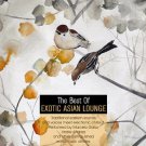 The Best Of Exotic Asian Lounge (2CD)