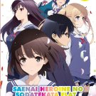 DVD ANIME Saenai Heroine no Sodatekata Flat Season 1-2 Saekano English Sub