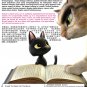 DVD Rudolf The Black Cat Japanese Computer-Animated Filem English Sub
