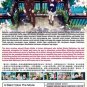 DVD A Silent Voice Koe No Katachi Anime Film Animation of The Year English Dub