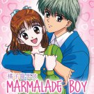 DVD Marmalade Boy Vol.1-76 End + Movie 橘子醬男孩 Japanese Anime Region All Eng Sub