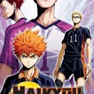 DVD Haikyuu The Movie 4 Concept No Tatakai 排球少年 Japanese Anime Eng Sub