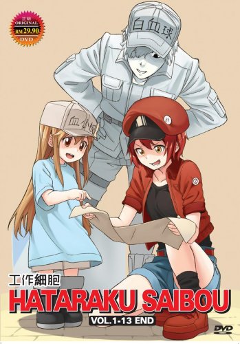 DVD Hataraku Saibou Vol.1-13 End &aring;&middot;&yen;&auml;&frac12;�&ccedil;&raquo;�&egrave;�� Japanese Anime Eng Sub Region All