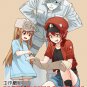 DVD Hataraku Saibou Vol.1-13 End 工作细胞 Japanese Anime Eng Sub Region All