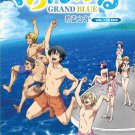 DVD Grand Blue Vol.1-12 End 碧蓝之海 Japanese Anime Eng Sub Region All