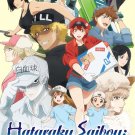 Hataraku Saibou Kaze Shoukougon Anime DVD Eng Sub Region All