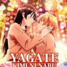Yagate Kimi Ni Naru Vol.1-13End Anime DVD Eng Sub Region All