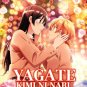 Yagate Kimi Ni Naru Vol.1-13End Anime DVD Eng Sub Region All
