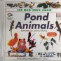 Pond Animals VCD
