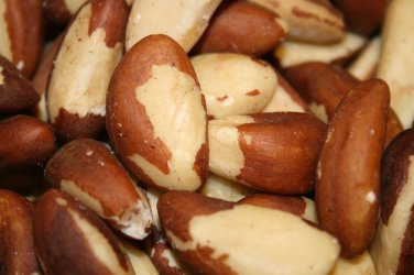 BRAZIL NUTS RAW UNSALTED, 2 LBs