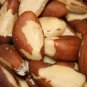 BRAZIL NUTS RAW UNSALTED, 2 LBs