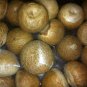 Whole Supari Grade A Quality (1 lb) Betel Nuts Areca Catechu