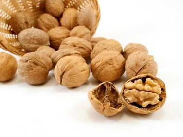 ENGLISH WALNUTS IN SHELL 6 lbs *CRACK IT * FEED IT * EAT IT *