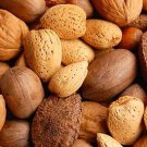 Mixed  Nuts  in  Shell premium quality  Almonds, Brazil Nuts, Hazelnuts Pecans and Walnuts  8 lbs