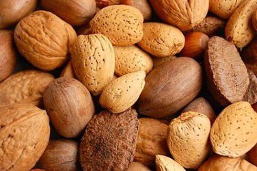 Mixed  Nuts  in  Shell premium quality  Almonds, Brazil Nuts, Hazelnuts Pecans and Walnuts  8 lbs