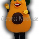 Fruit Costume mascot