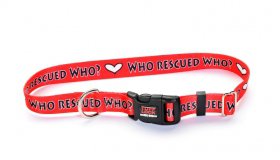 TuffLock Who Rescued Who Collar- Small