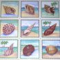 Sea Shell Ceramic Tile Back Splash Tropical Shells 6" Set of 9 Kiln Fired