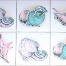 Sea Shell Clam Conch Ceramic Tile Accents 6 of 4.25" Kiln Fired Decor Backsplash