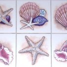 Star Fish Conch Sea Shell Ceramic Tile Accents to Mural 6 of 4.25" Kiln Fired
