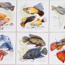 Tropical Aquarium Fish Ceramic Tile Accents 6 pieces 4.25" x 4.25" Kiln Fired Tropical Aquarium Fish Ceramic Tile Accents 6 pieces 4.25" x 4.25" Kiln Fired