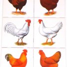 ooster and Hen Set of 6 Ceramic Tile 4.25" Kiln Fired Back Splash Chicken ooster and Hen Set of 6 Ceramic Tile 4.25" Kiln Fired Back Splash Chicken