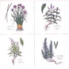 Botanical Green Herb Ceramic Tile 4 of 4.25" x 4.25" Chives Spearmint Sage Rosemary