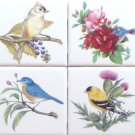 Decor B Beautiful Birds Ceramic Tile set 4 of 4.25" x 4.25" Kiln Fired Song Bird