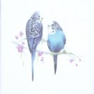 Blue Parakeet Ceramic Tile 4.25" Bird Collection Kiln Fired Decor BackSplash Blue Parakeet Ceramic Tile 4.25" Bird Collection Kiln Fired Decor BackSplash