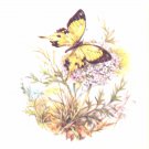 Yellow Butterfly Ceramic Tile 4.25" x 4.25" Kiln Fired Back splash Decor Yellow Butterfly Ceramic Tile 4.25" x 4.25" Kiln Fired Back splash Decor
