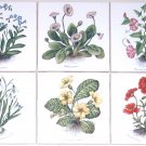 Botanical Flower Ceramic Tile set of 6 / 4.25" Poppies Morning Glories Kiln Fired Decor Botanical Flower Ceramic Tile set of 6 / 4.25" Poppies Morning Glories Kiln Fired Decor