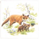 Fox Family Ceramic Tile 4.25" Wild Life Collection Kiln Fired Decor Back Splash Fox Family Ceramic Tile 4.25" Wild Life Collection Kiln Fired Decor Back Splash