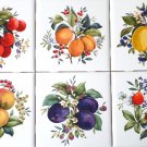 Fruit Ceramic Accent Tiles Lemons Plums 6 / 4.25" Kiln Fired Decor Back Splash