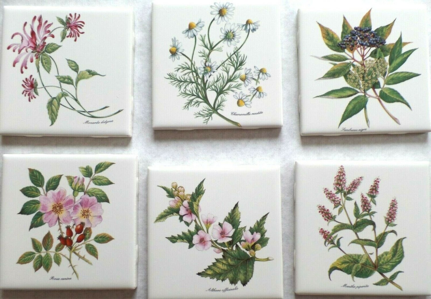 Tea Herb Botanical Flower Ceramic Tiles set of 6 of 4.25" Kiln fired